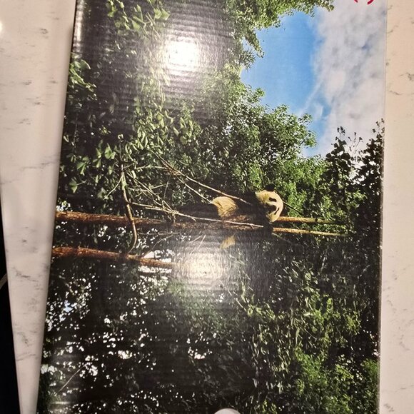 Converse x Clot Jack Purcell Low Top Ox 'Giant Panda' Shoes Women's Size 7 NEW - Picture 5 of 8